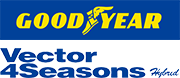 goodyear_name.png