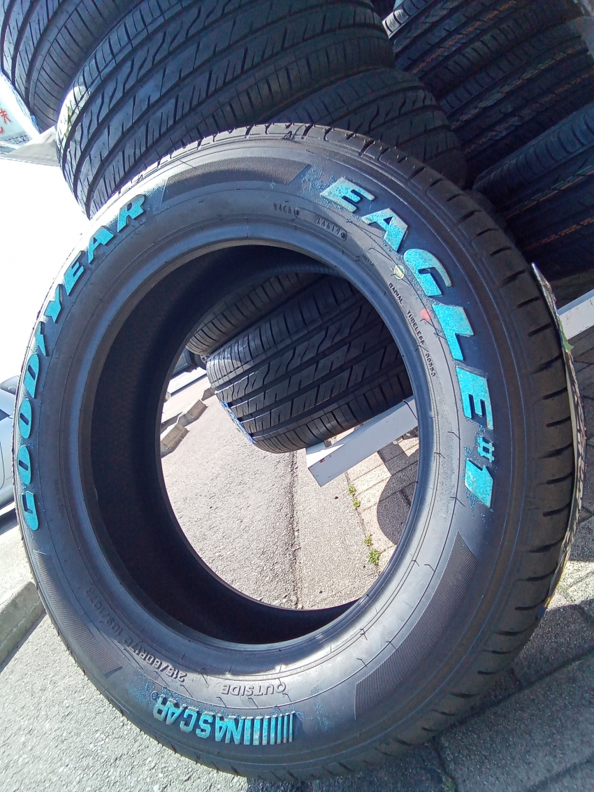 IMG_20230417_140635_052 (1).jpg