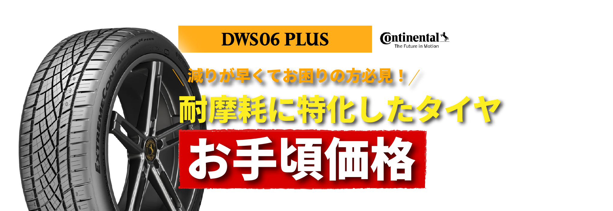 DWS06 PLUS