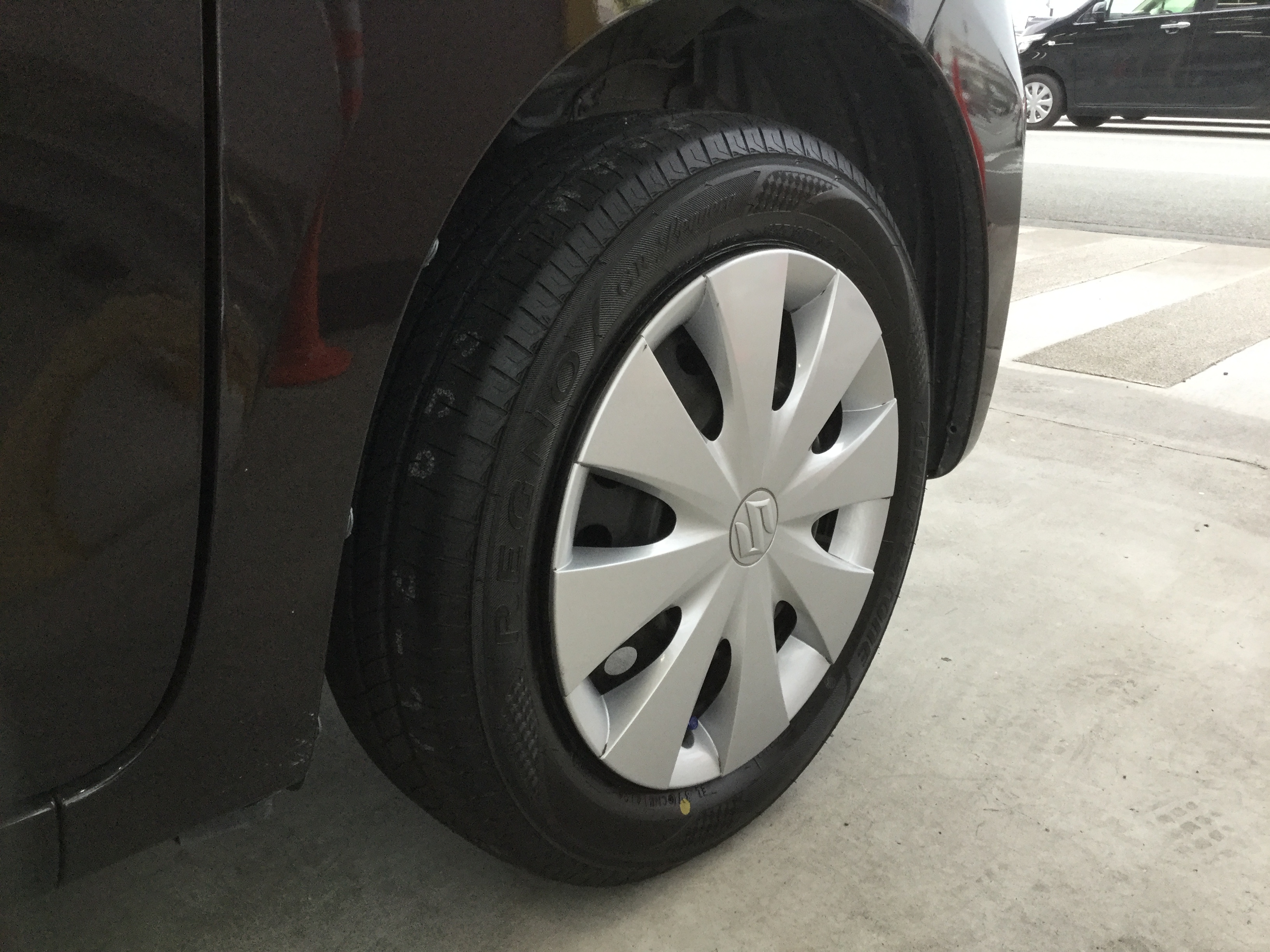 SPACIA_REGNO GR-L_20190623.JPG