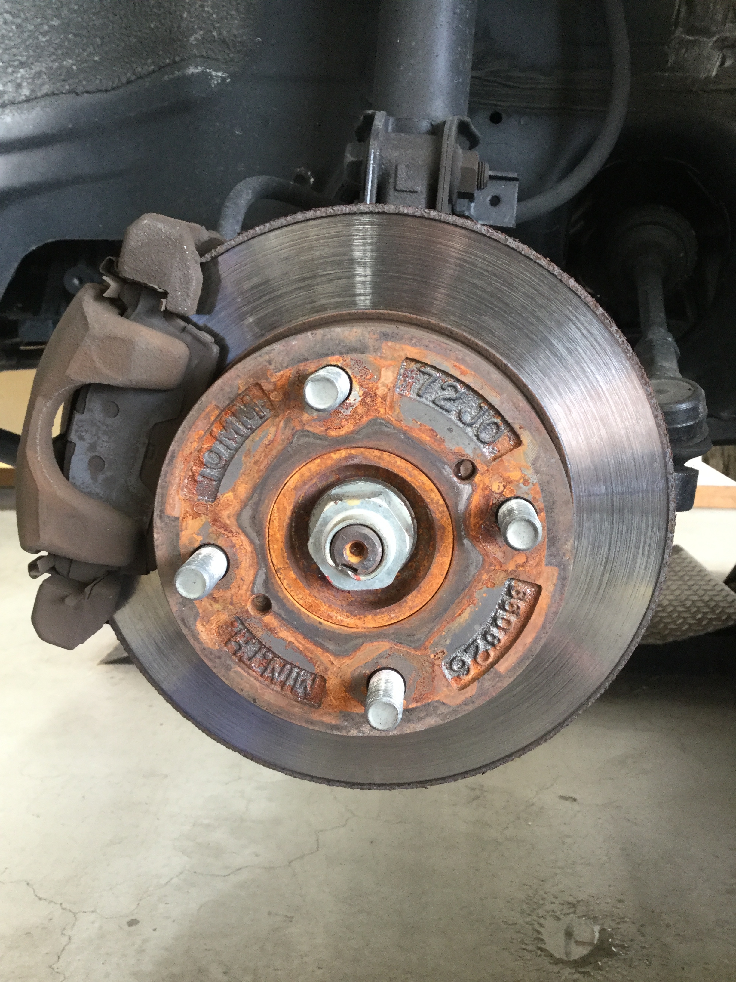 HC46.habu08011 (1).JPG