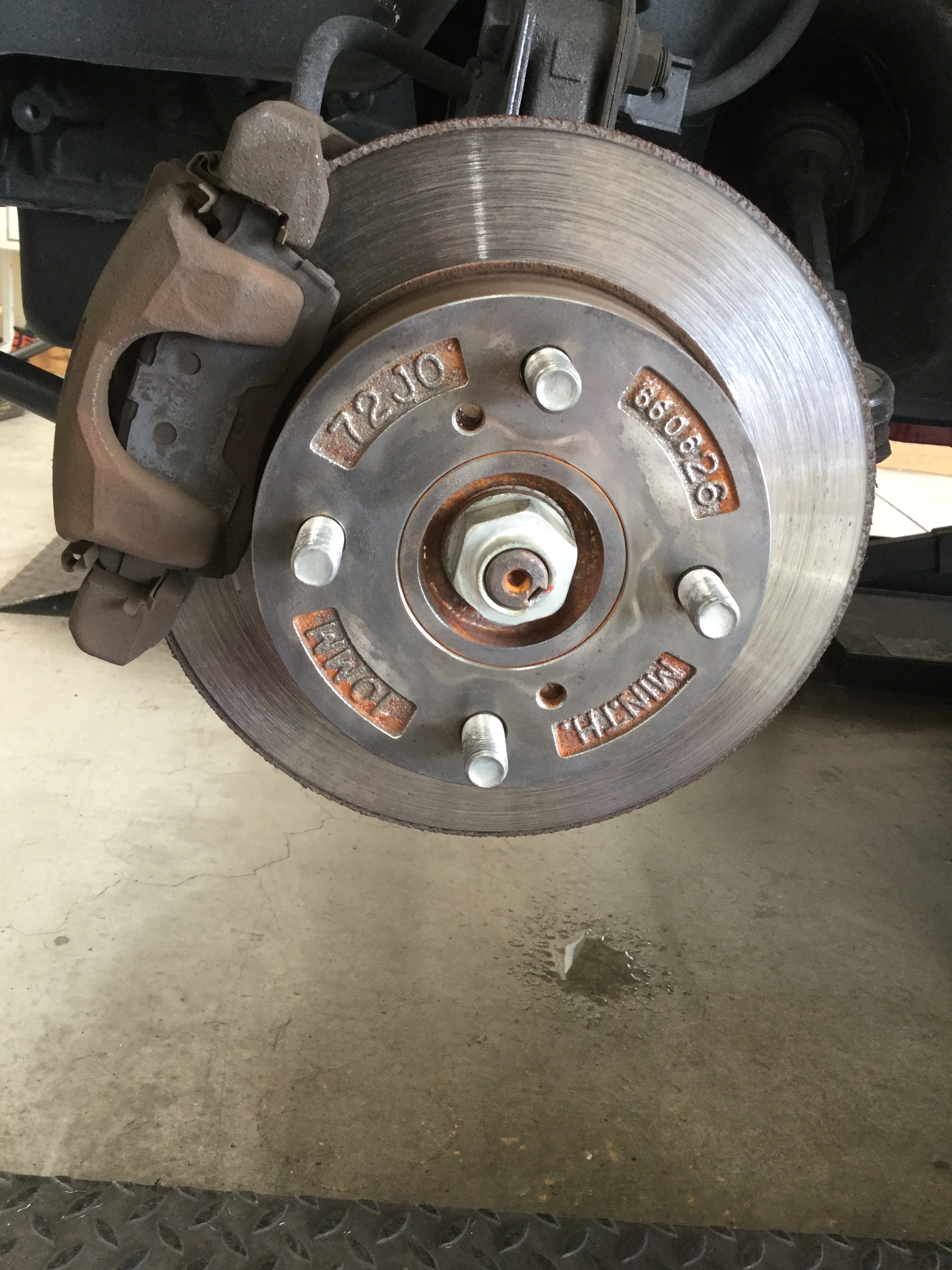 HC46.habu08011 (3).JPG